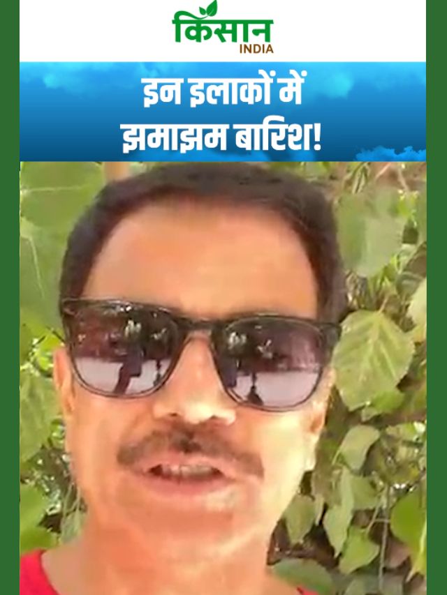 अगले 12 घंटों में इन इलाकों में होगी झमाझम बारिश, Delhi-NCR में गरजेंगे बादल!