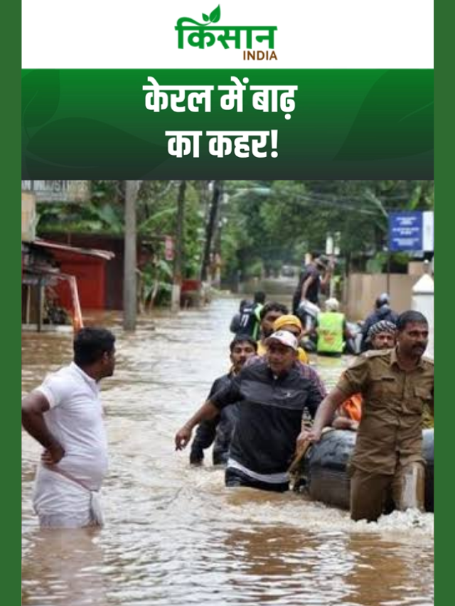 Kerela में Flood से खेती तबाह, 3,596 किसानों की फसल बर्बाद, 165 हेक्टेयर डूबी