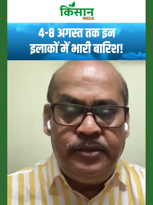 मौसम विभाग की बड़ी भविष्यवाणी, 4-8 अगस्त तक इन इलाकों में होगी झमाझम बारिश!