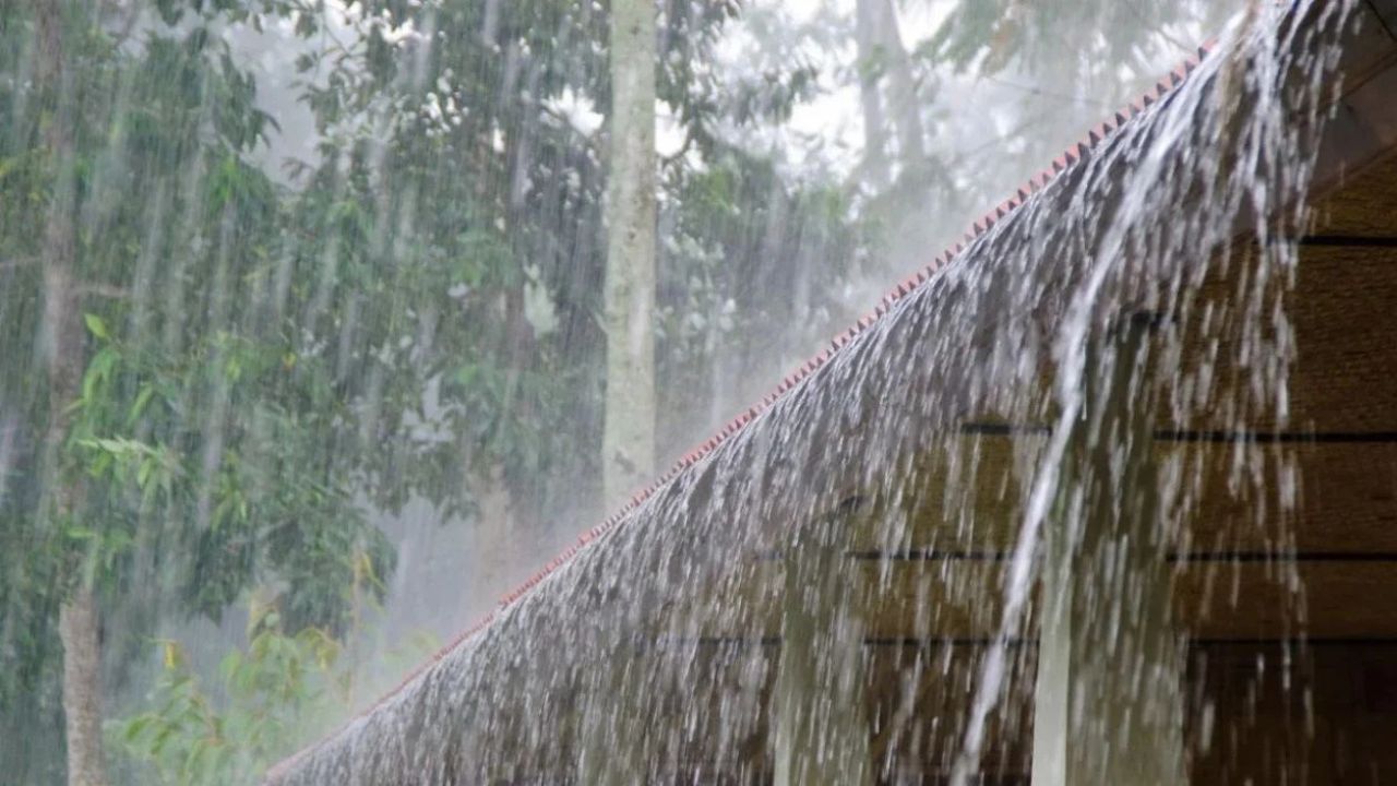 Weather Update Heavy Rain Alert In 17 States Including Delhi Ncr Strong Winds Up To 35 Km