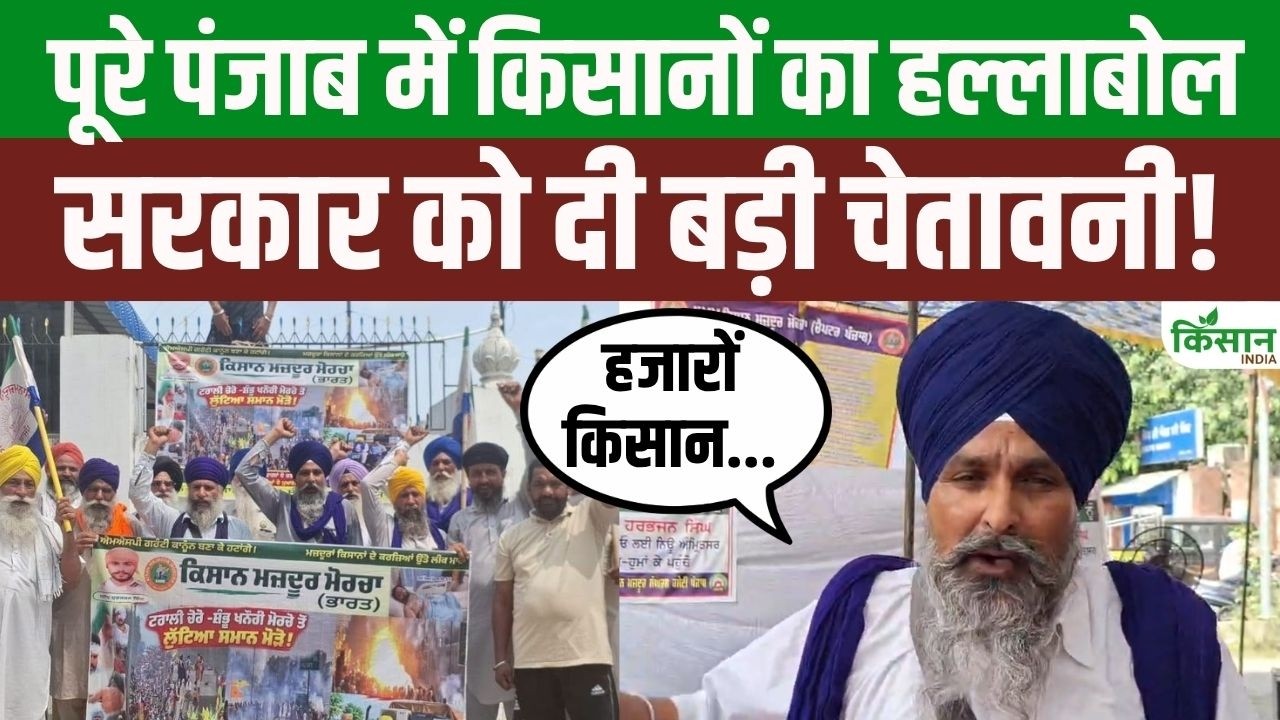 Punjab में किसान आंदोलन का बड़ा असर! 22 जिलों में हजारों किसान सड़कों पर, सरकार को दी कड़ी चेतावनी Punjab में किसान आंदोलन का बड़ा असर! 22 जिलों में हजारों किसान सड़कों पर, सरकार को दी कड़ी चेतावनी