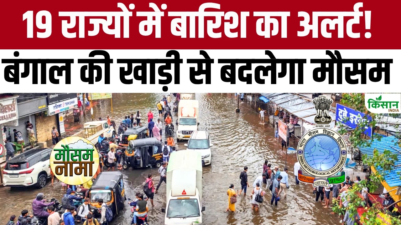 Mausham Update: यूपी-बिहार और दिल्ली समेत 19 राज्यों में भारी बारिश, तेज आंधी-बिजली का खतरा Mausham Update: यूपी-बिहार और दिल्ली समेत 19 राज्यों में भारी बारिश, तेज आंधी-बिजली का खतरा