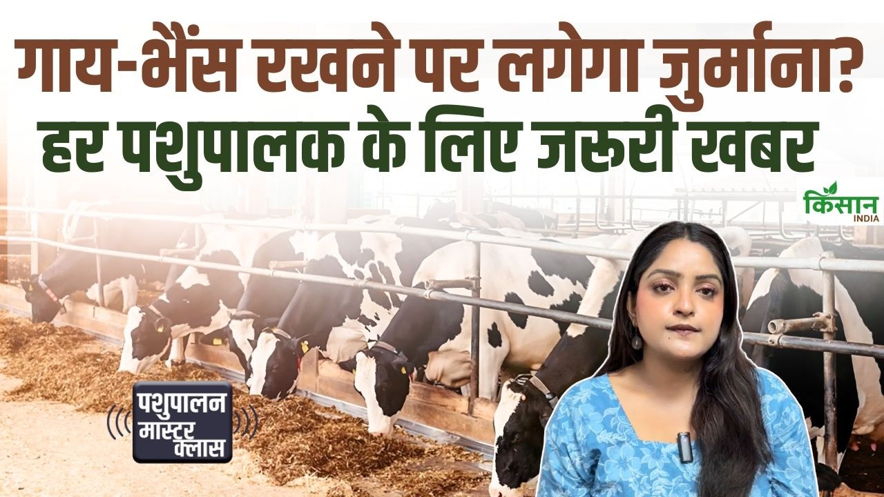 Cow & Buffalo Rules: क्या 2 गाय-भैंस रखने पर भी लाइसेंस जरूरी? जानिए पूरा नियम और जुर्माना Cow & Buffalo Rules: क्या 2 गाय-भैंस रखने पर भी लाइसेंस जरूरी? जानिए पूरा नियम और जुर्माना