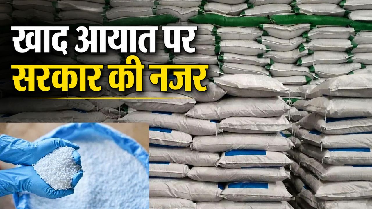 Parliamentary Committee Recommends Centre To Develop Permanent Emergency Plan For Fertilizer Supply
