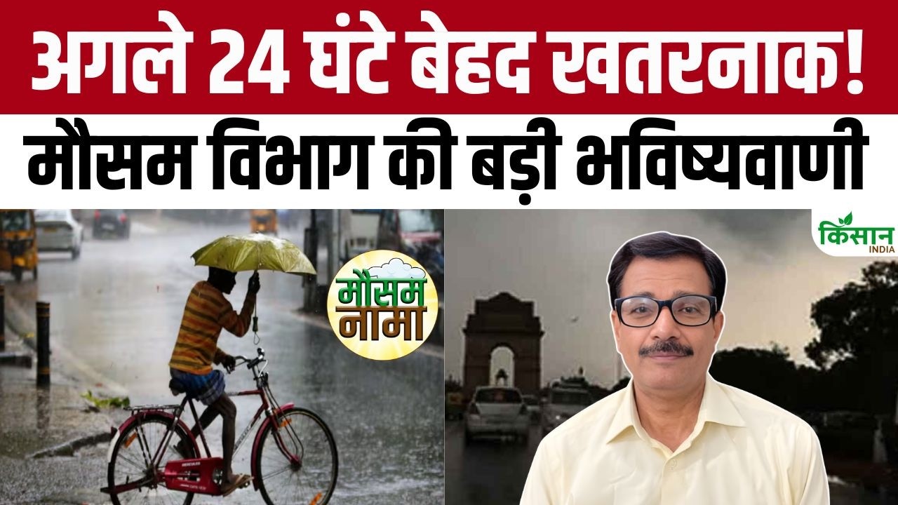 Weather Updates Major Alert From The Imd On Rainfall Risk Of Torrential Rain Across 17 States In Next 24 Hours