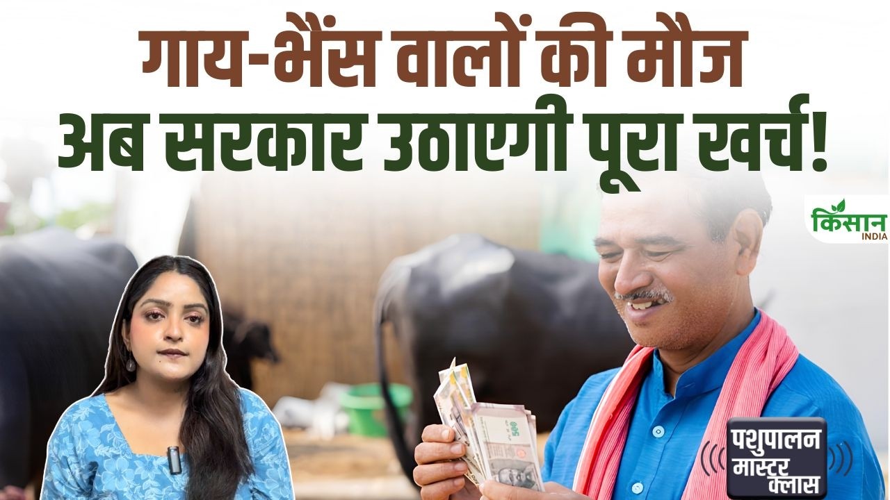 Rajasthan Animal Insurance Scheme Insurance Cover Up 40000 Cows And Buffaloes Goat And Sheep Rearers To Benefit As Well