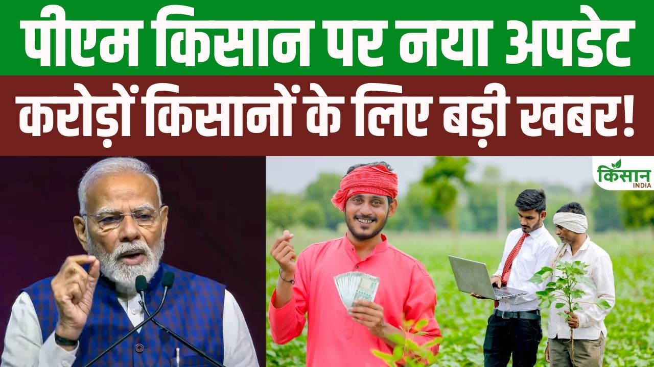 PM Kisan की 24वीं किस्त पर बड़ा अपडेट! 2,000 रुपये के लिए अभी कर लें ये 3 जरूरी काम PM Kisan की 24वीं किस्त पर बड़ा अपडेट! 2,000 रुपये के लिए अभी कर लें ये 3 जरूरी काम