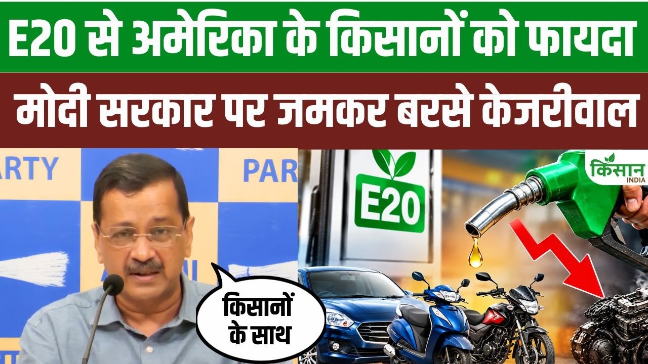 E20 Petrol Emerges A Major Issue In 2026 Goa Elections Arvind Kejriwal Targets Central Government