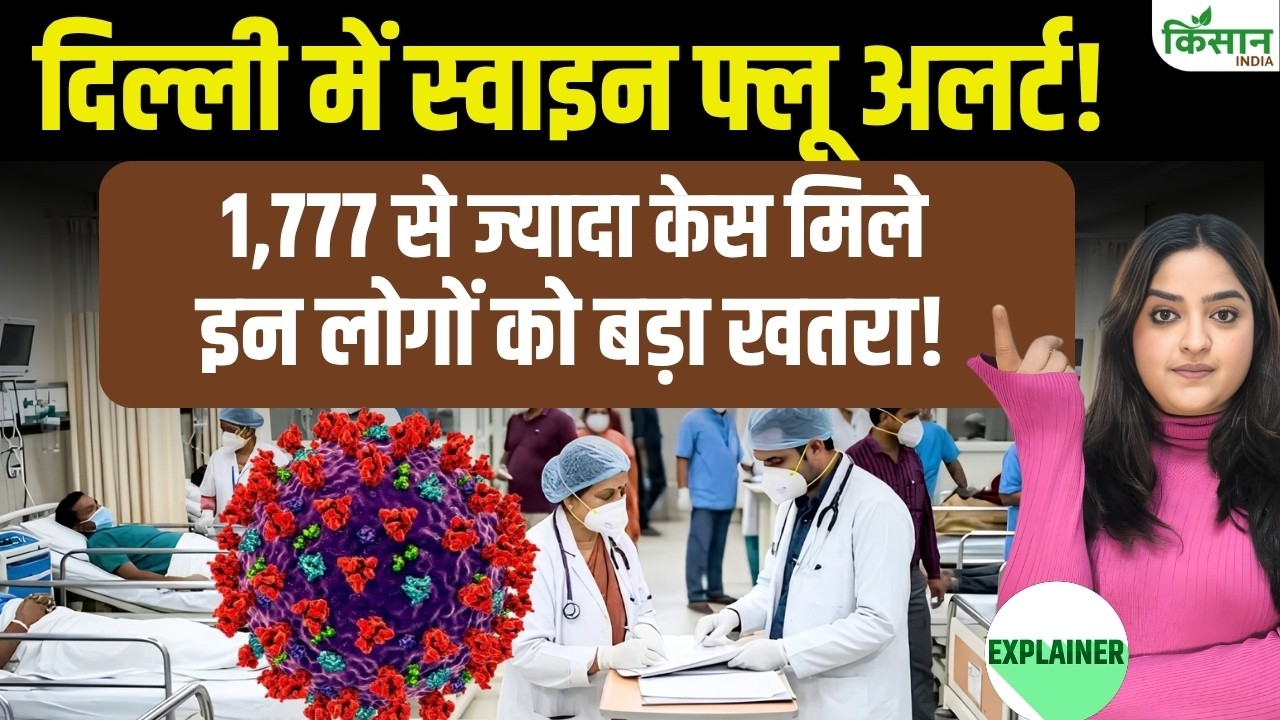 Delhi में H1N1 का बढ़ा खतरा! 1,777 केस पार, जानिए Swine Flu के लक्षण और बचाव के आसान तरीके Delhi में H1N1 का बढ़ा खतरा! 1,777 केस पार, जानिए Swine Flu के लक्षण और बचाव के आसान तरीके