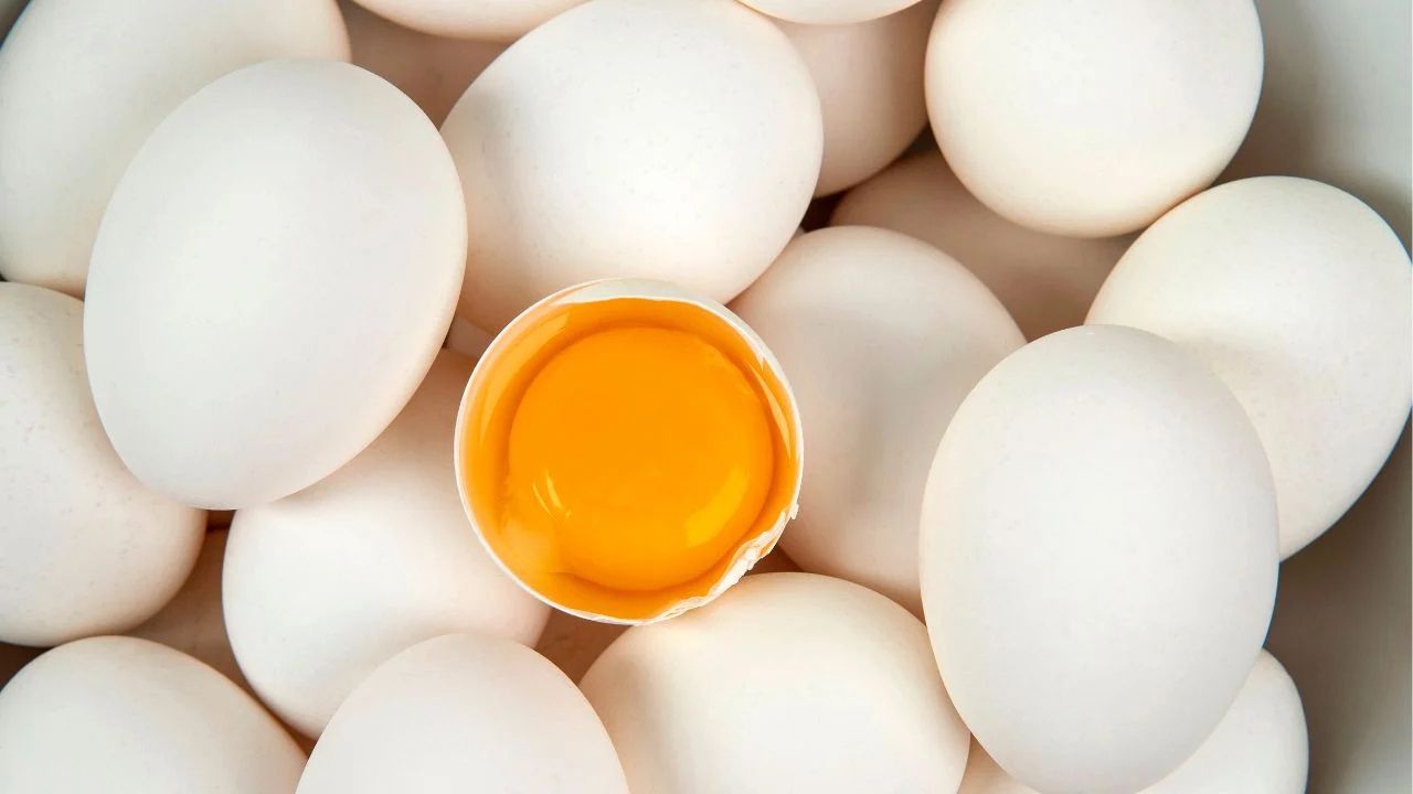 Egg Prices Fall Purchase Price Reaching Rs 6 In Namakkal Poultry Traders