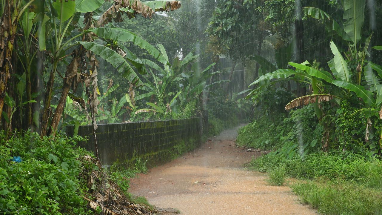 Weather Update Rain Alert Till August 11 Uttarakhand Announces School Closure