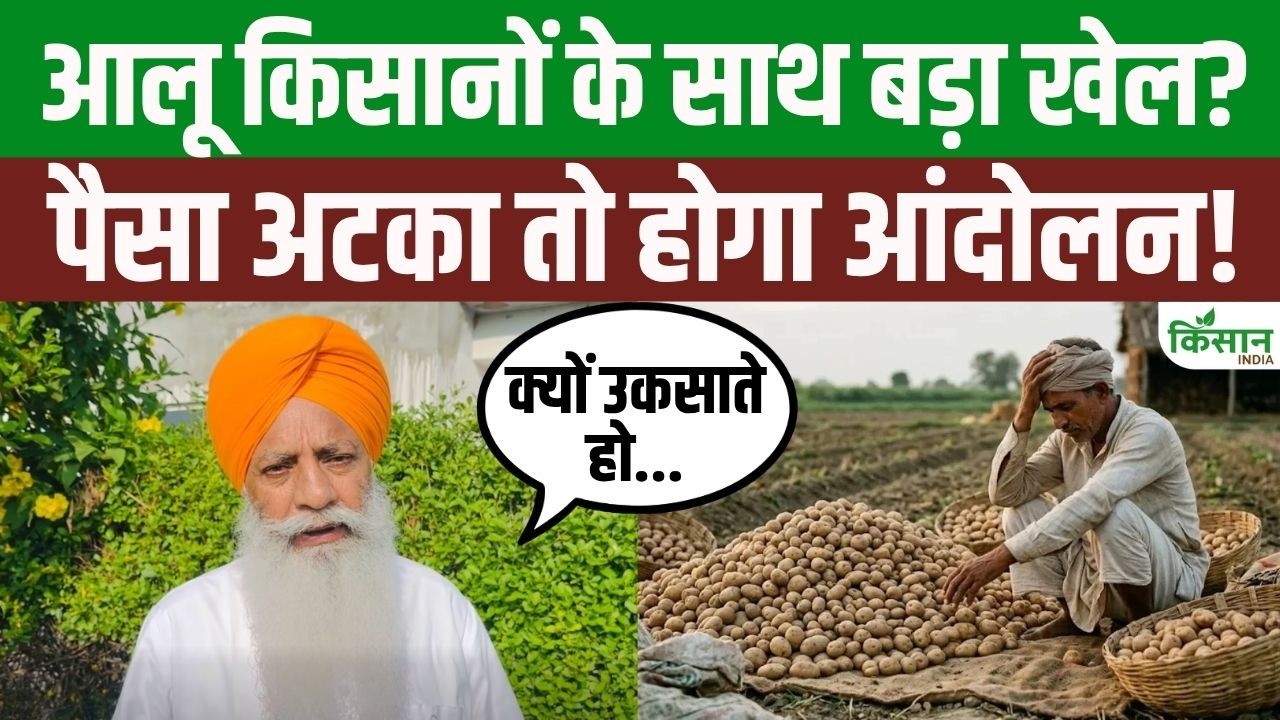 आलू किसानों के 90 करोड़ अटके! चढ़ूनी ने सरकार को दिया बड़ा अल्टीमेटम आलू किसानों के 90 करोड़ अटके! चढ़ूनी ने सरकार को दिया बड़ा अल्टीमेटम