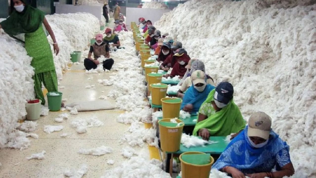 Textile Industry Upset Over Rising Cotton Prices Demands Extension Of Duty Free Imports By Six Months