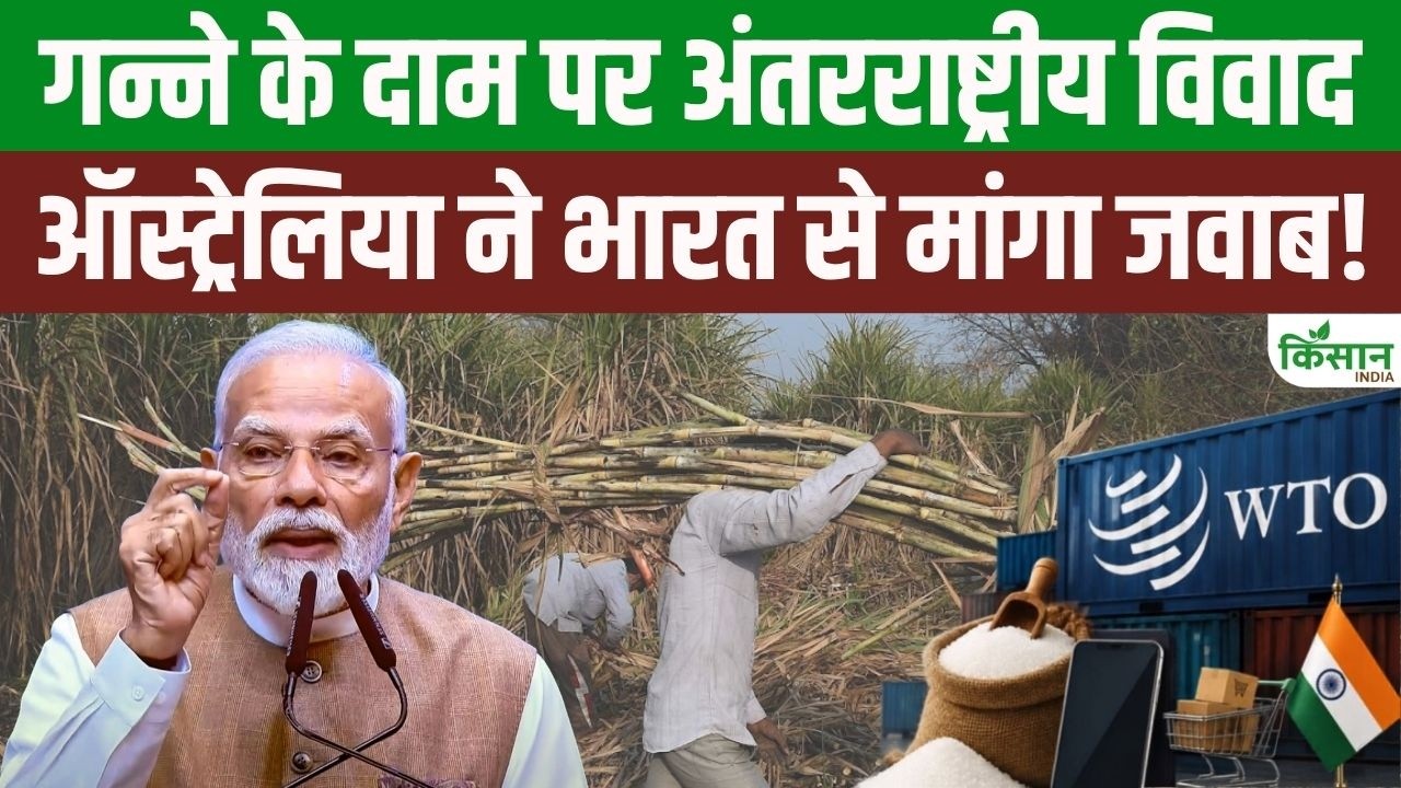 International Dispute Over Sugarcane Prices India Faces Questions Wto Frp Farmers Change