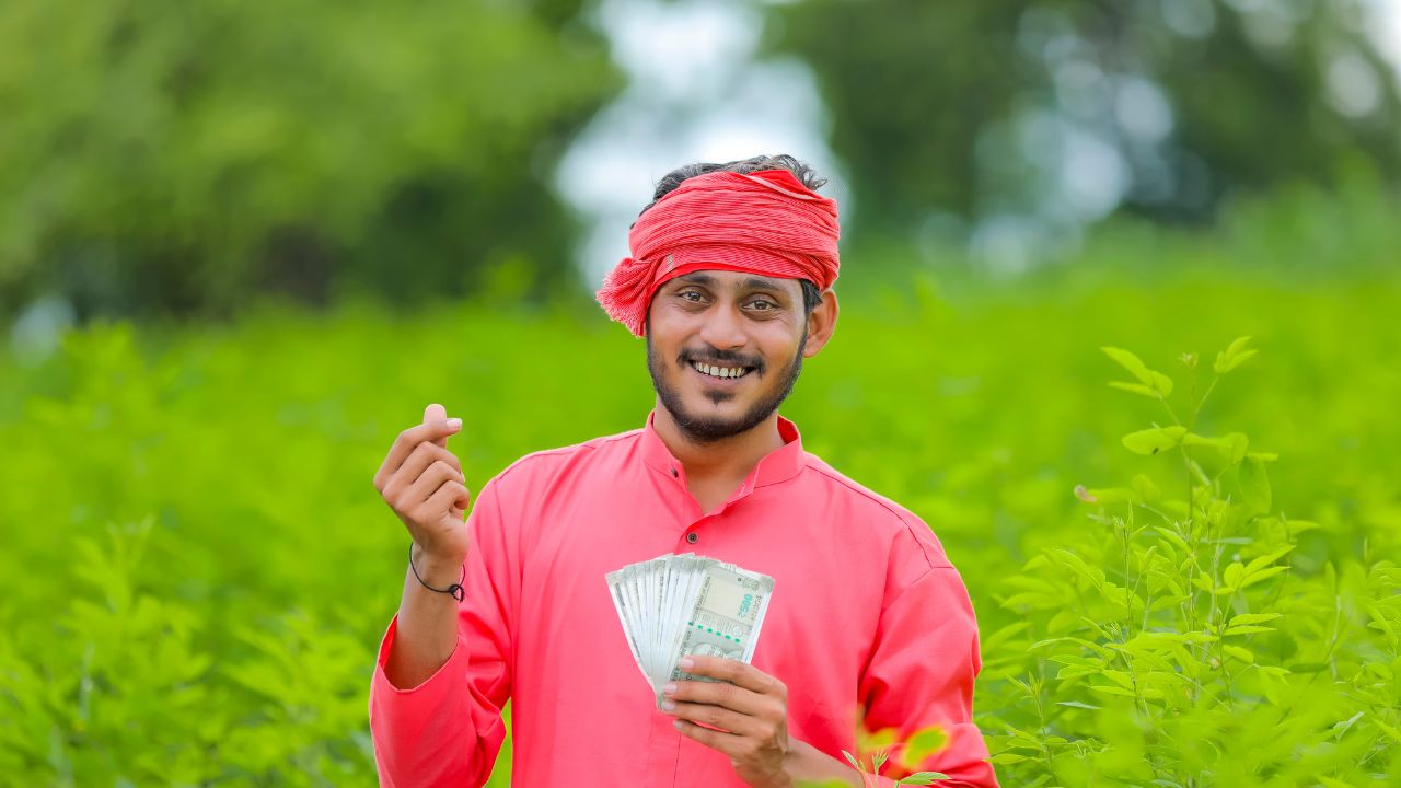 Punjab Haryana Carbon Credit Farmers To Get Payment Up To Rs 15000