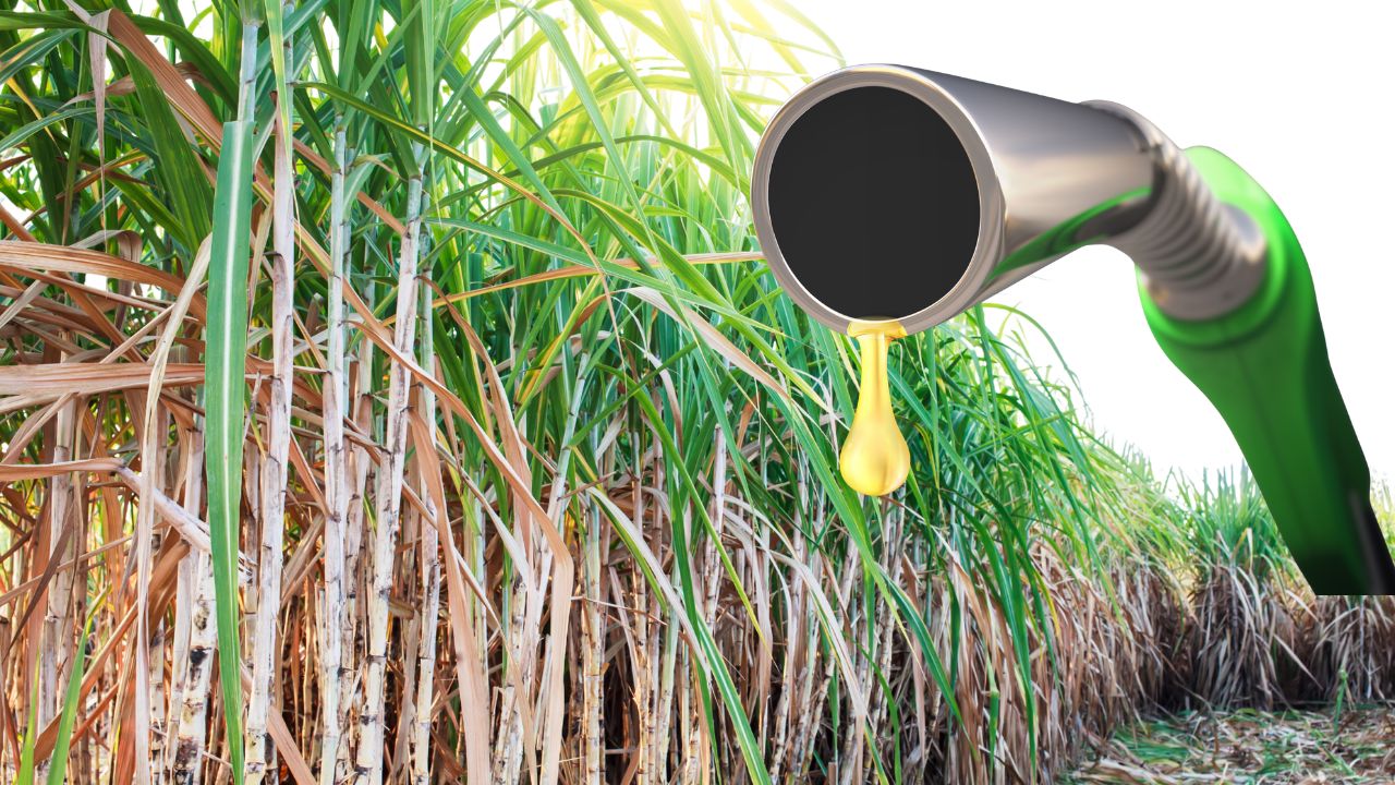 Karnataka Sugarcane Farmers Demand Permission To Produce Ethanol From Molasses And Grains