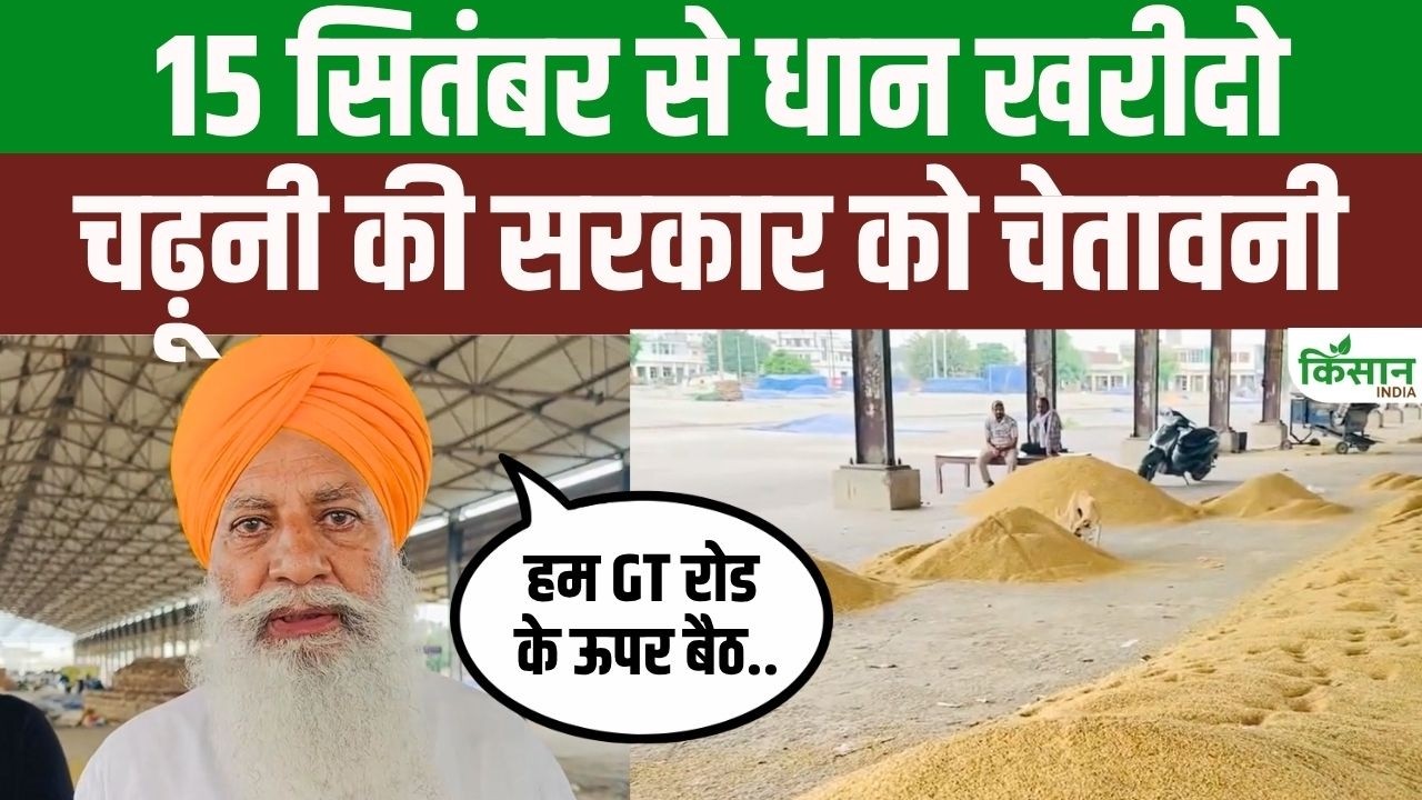 Gurnam Singh Charuni Warns Government Over Paddy Procurement Demands Start Procurement From September 15