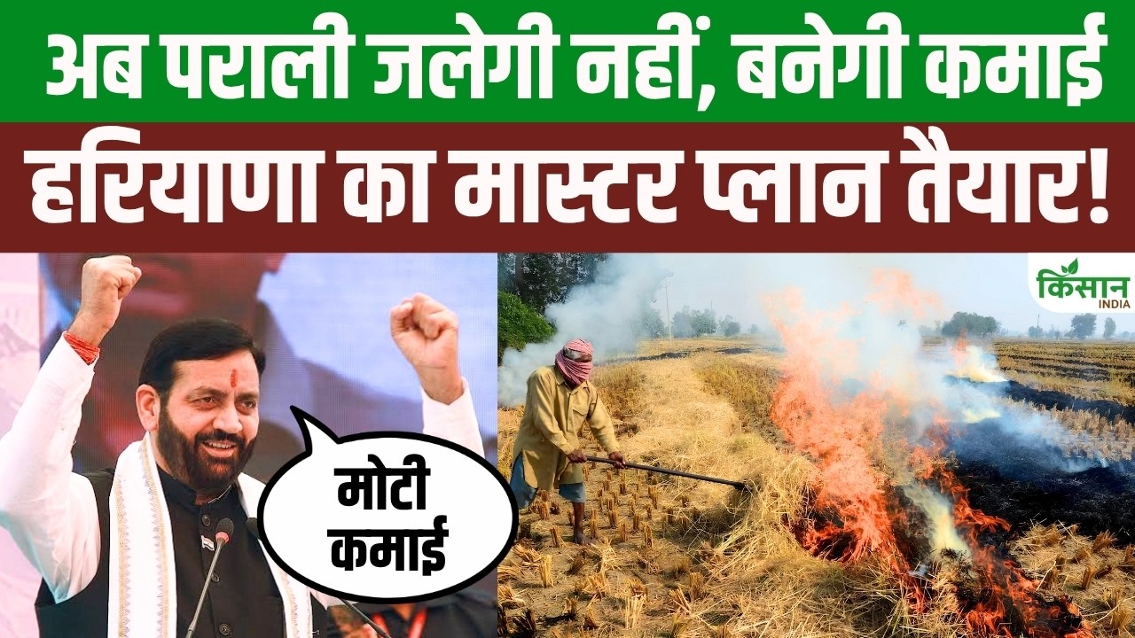 पराली अब बनेगी किसानों की कमाई! हरियाणा में 80 लाख टन पराली का बड़ा प्लान तैयार