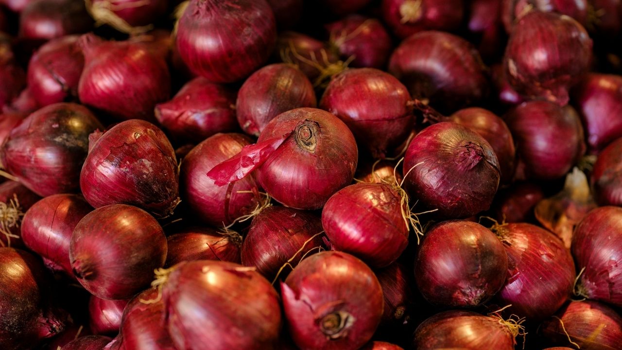 Onion Price: प्याज पर बड़ी राहत! 840 टन प्याज लेकर चेन्नई पहुंची कांदा एक्सप्रेस, जानें किसे मिलेगा फायदा Onion Price: प्याज पर बड़ी राहत! 840 टन प्याज लेकर चेन्नई पहुंची कांदा एक्सप्रेस, जानें किसे मिलेगा फायदा