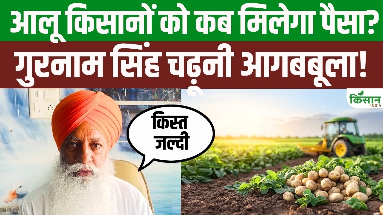 When Potato Farmers Receive Remaining Installment Gurnam Singh Chaduni Corners Government