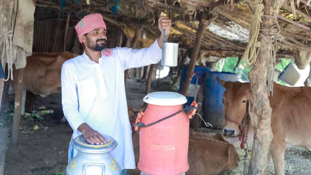 ओडिशा सरकार ने दूध खरीद मूल्य बढ़ाने की घोषणा की, किसानों को 11 तारीख से ज्यादा मिलेगा भाव