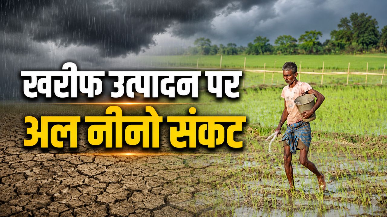 मजबूत अल नीनो खेती के लिए बना खतरा, ICICI ने खरीफ उत्पादन और क्वालिटी पर चिंता जताई