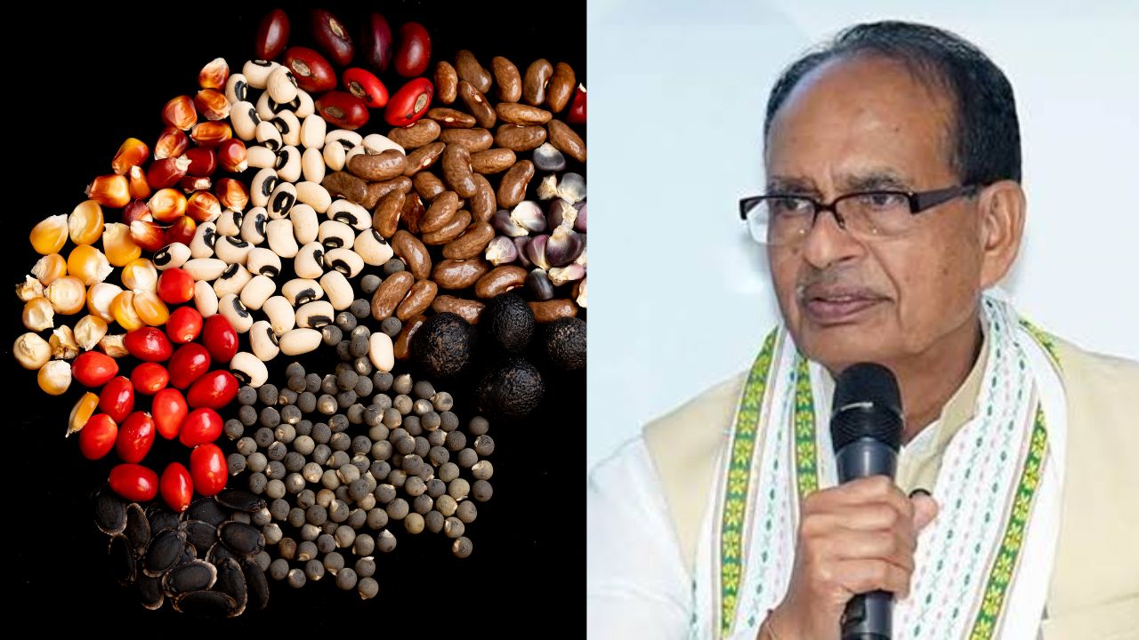 Seed Act Crackdown On Seed Mafia Meeting Between Farmer Leaders And Agriculture Minister Shivraj Singh Regarding Stricter Enforcement Of The Seed Act