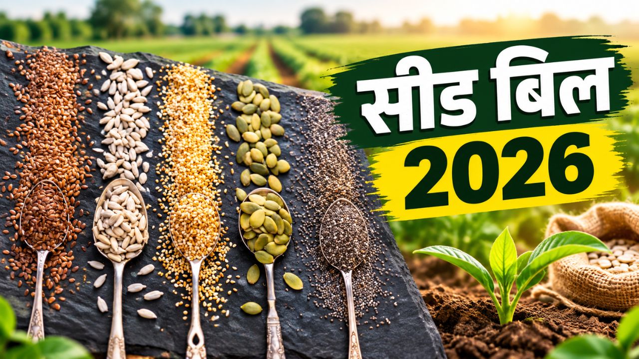 Seed Act Amendment Farmer Leader Said After Green Revolution Now Urgent Need To Improve Seeds Gm Must Stop Shivraj Singh Chouhan