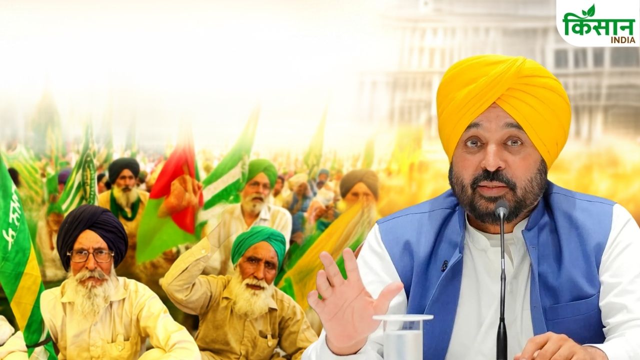 Kisan Majdoor Morcha To Begin 5 Day Protest In Punjab From Monday 5 Days Gherao At Aap Ministers Residence