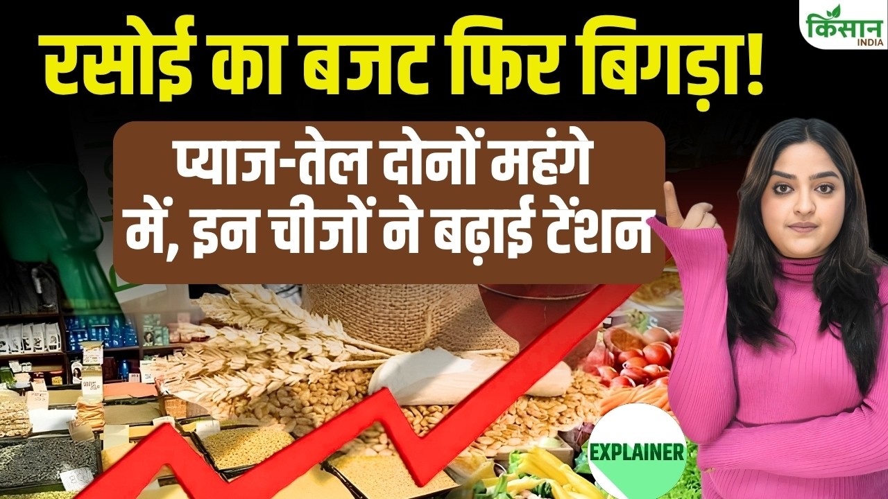 प्याज-तेल ने बिगाड़ा Kitchen का बजट! एक हफ्ते में बढ़े इन चीजों के दाम, यहां मिली राहत प्याज-तेल ने बिगाड़ा Kitchen का बजट! एक हफ्ते में बढ़े इन चीजों के दाम, यहां मिली राहत