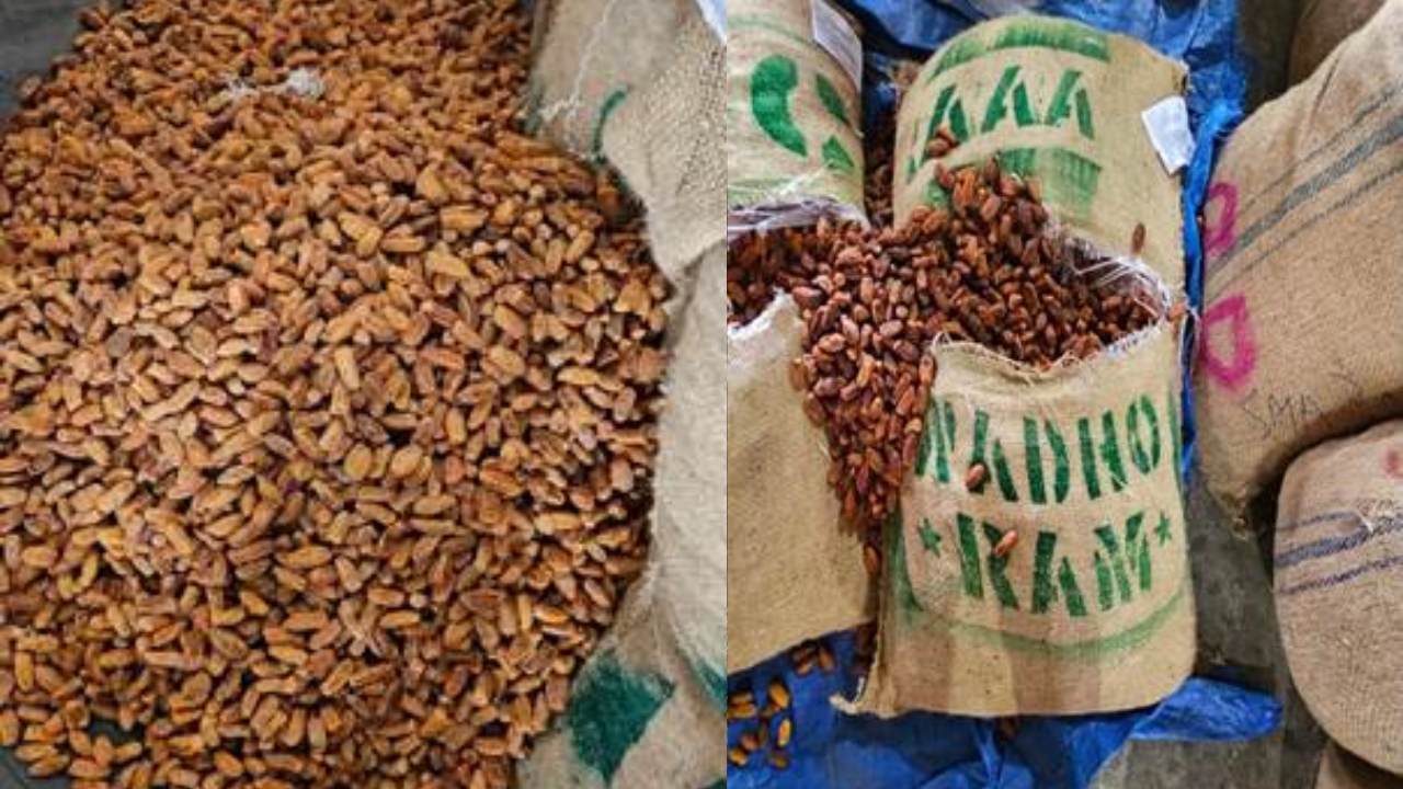 Pakistan Origin Dry Dates 362 Metric Tonnes Seized Dri Operation Deep Manifest