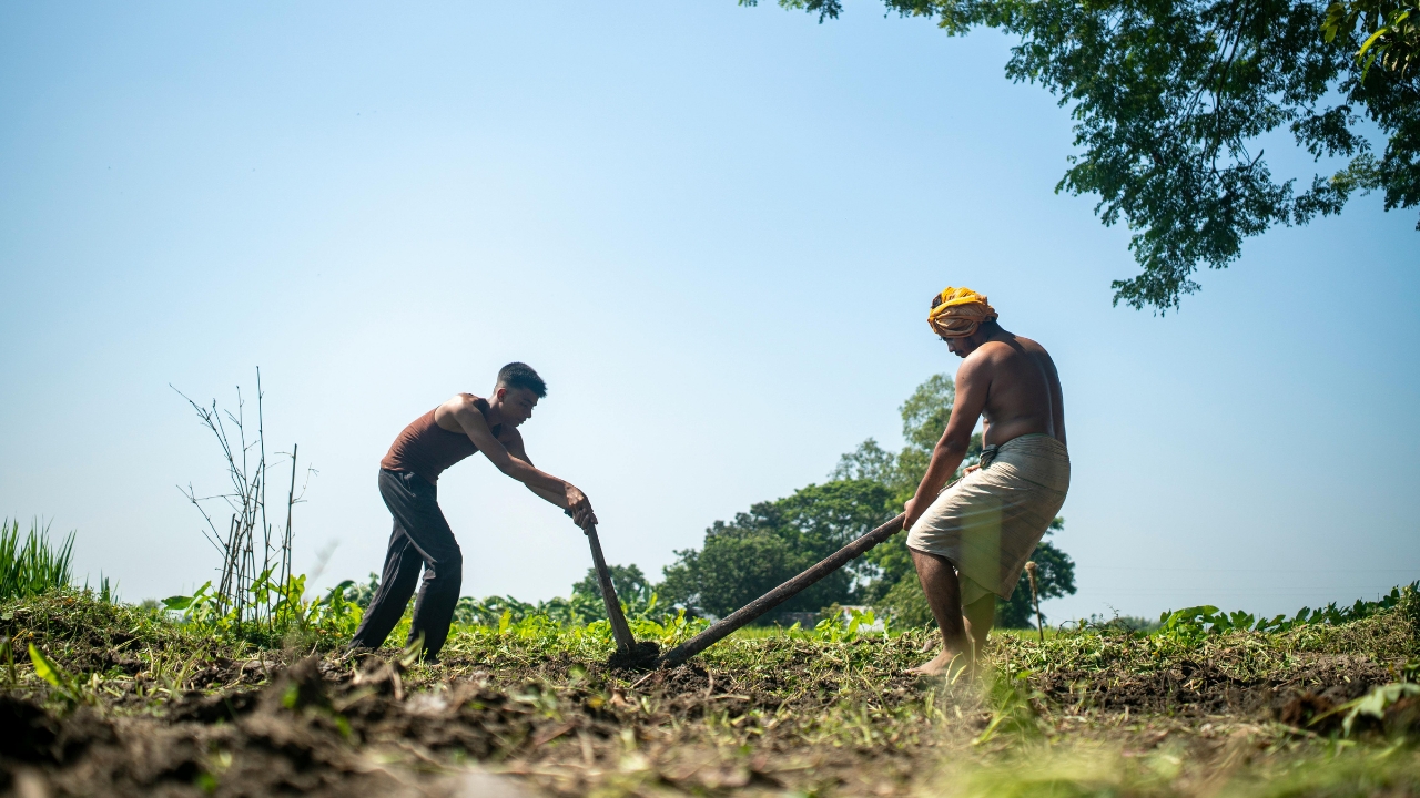 Natural Farming Reduce Farming Cost Increase Farmer Profit Scientist Formula