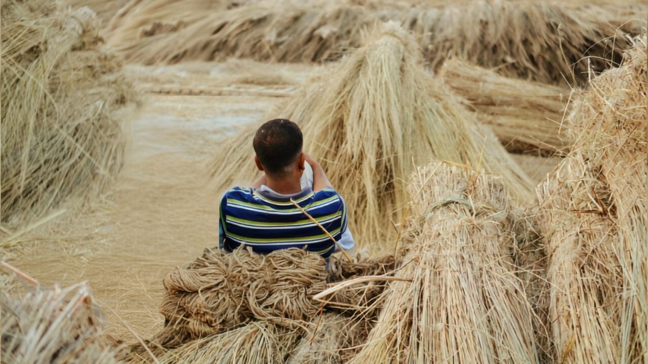 Bengal Government Directs Jute Mills To Pay Bonus To Workers By September Durga Puja 2026