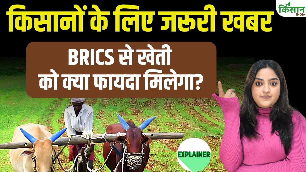4 Major Decisions For Farmers At Brics Transforming Landscape From Seeds And Fertilizers Digital Farming