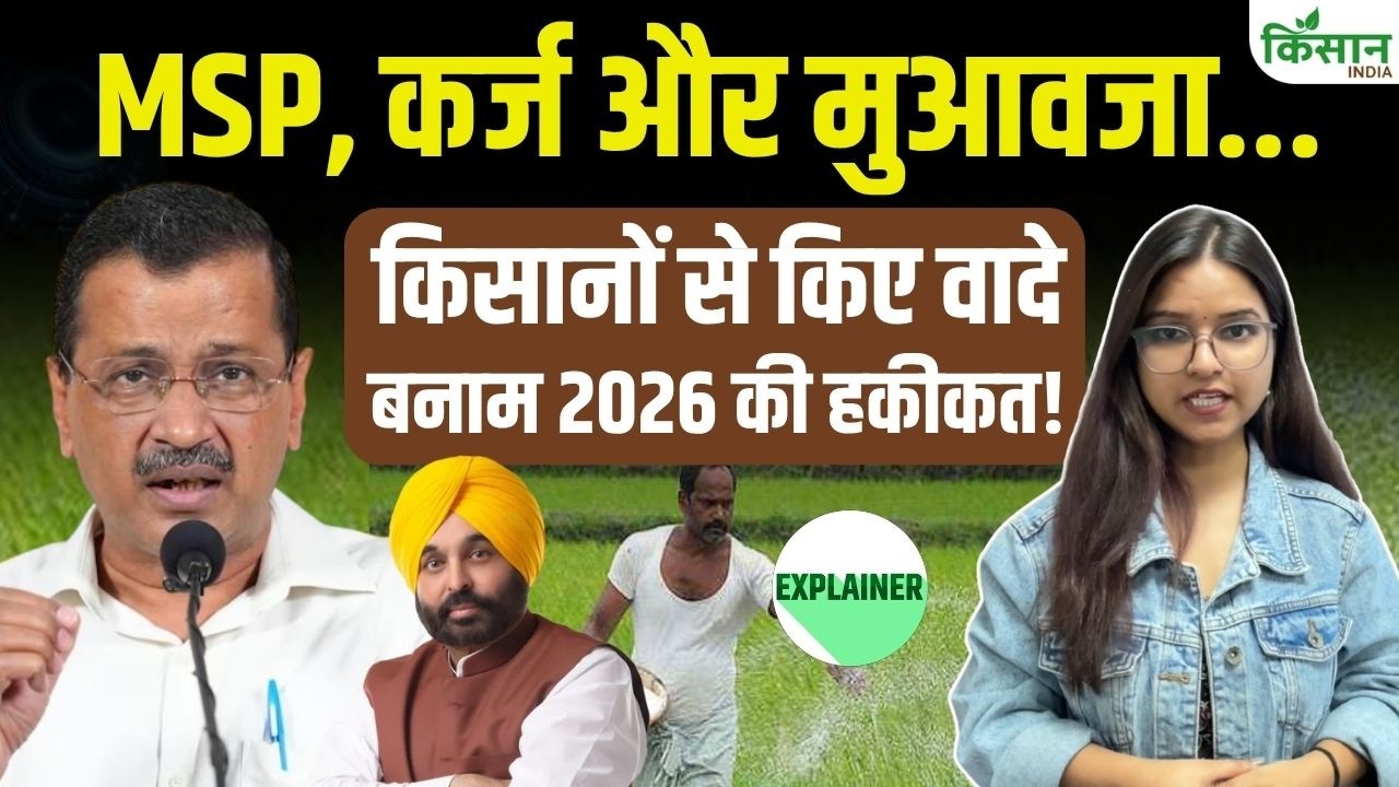 Punjab में AAP सरकार का किसान Report Card: कर्ज माफी से MSP तक, कितने वादे हुए पूरे? Punjab में AAP सरकार का किसान Report Card: कर्ज माफी से MSP तक, कितने वादे हुए पूरे?