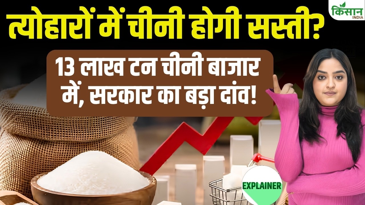 त्योहारों में चीनी होगी सस्ती या महंगी? 10 लाख टन आयात से बदलेगा बाजार