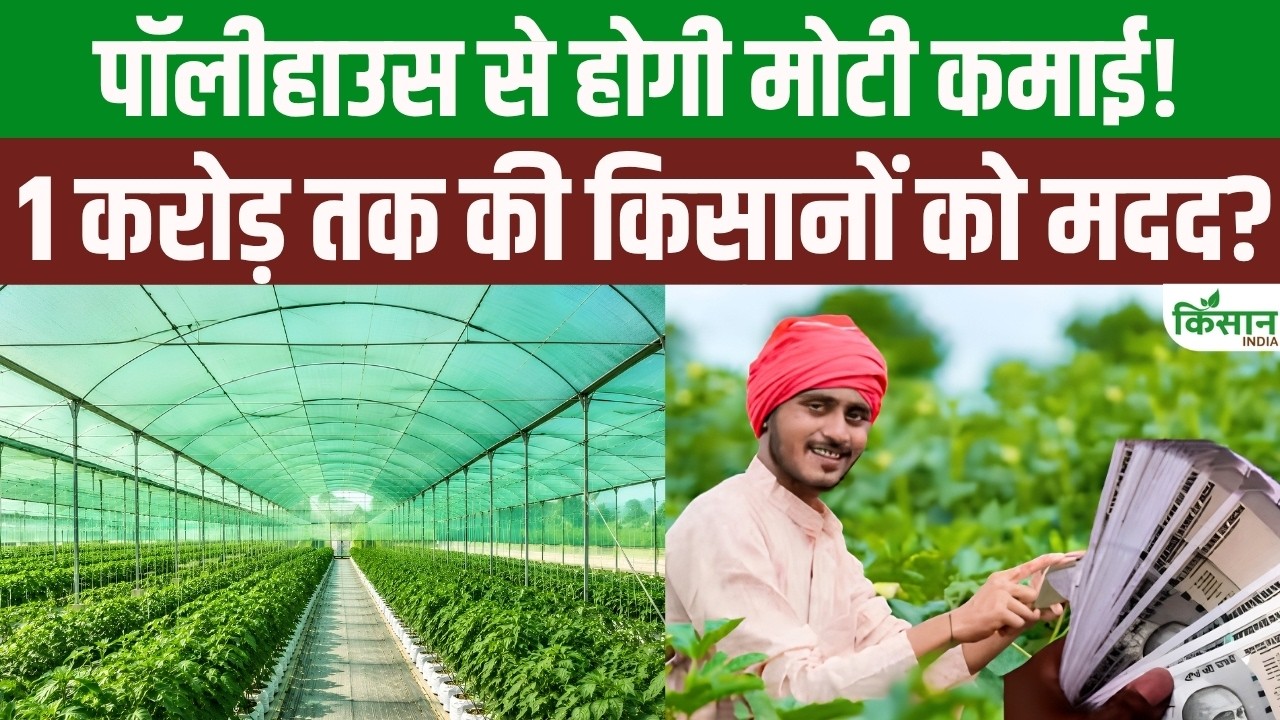 Up To 50 Percent Subsidy On Polyhouse Farming Farmers Receive Assistance Of Up 1 Crore Find Out Full Details